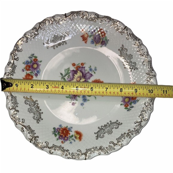 BAVARIA Schumann Floral Round Dinner Plate with Plate Hanger GERMANY US ZONE 10" - Picture 2 of 12